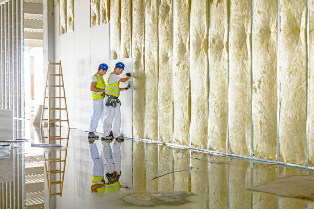 Best Cellulose Insulation in St James, MD